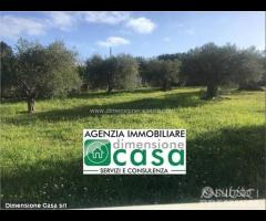 Rif.TA39|Terreno agricolo Caltanissetta