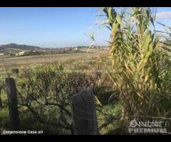 Rif.TA39|Terreno agricolo Caltanissetta