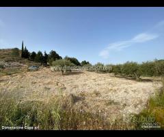 Rif.TA48|Terreno agricolo Caltanissetta - 6