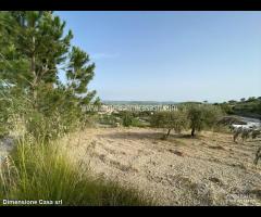 Rif.TA48|Terreno agricolo Caltanissetta - 8
