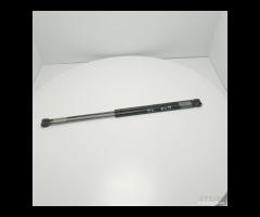 Coppia pistoncini aste ammortizzatori 1637400345 M