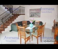 Cortile Indipendente vicinissimo al Jambo - 12