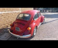 Maggiolino maggiolone beetle 1973 - 7