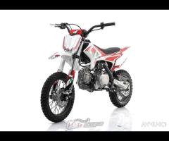 PIT BIKE THUNDER 110