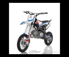 PIT BIKE THUNDER 125 17/14