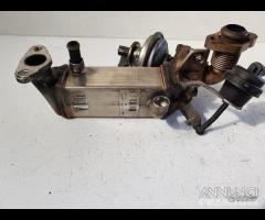 Refrigerante egr bmw X3 anno 2008 diesel
