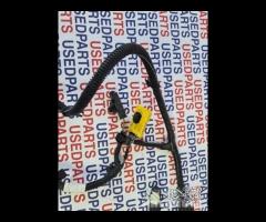 Cablaggio con sensori parcheggio posteriori 208 - 6