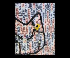 Cablaggio con sensori parcheggio posteriori 208 - 12