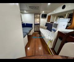 Gagliotta gagliardo 37 - 19