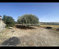 Rif.AG16|Azienda agricola Caltanissetta - 8