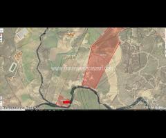 Rif.AG16|Azienda agricola Caltanissetta - 11