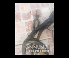 IMPIANTO CABLAGGIO ELETTRICO SYSTEM WIRING HONDA N