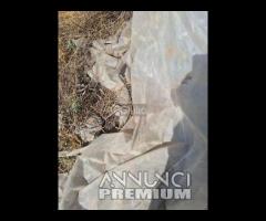 MASCHERINA CALANDRA VOLKSWAGEN GOLF MK2 DUE FARI 1 - 14