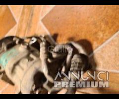 Compressore A/C Opel Corsa astra combo zafira meri - 6
