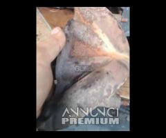 Collettore Scarico Fiat Panda Uno 127 Motore 900 S - 12