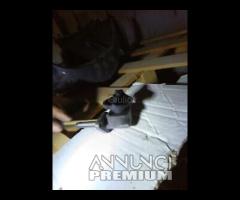 RUBINETTO SERBATOIO PER APRILIA PEGASO 650 - 11
