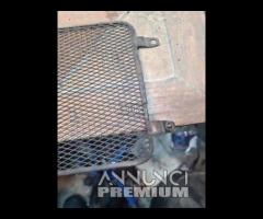 Griglia Radiatore Acqua SUZUKI GSF 400 91-93 Bandi - 6