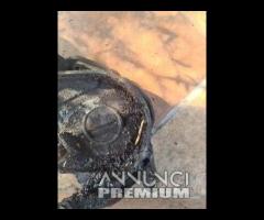 Carter Pignone Originale Honda Transalp 600 1991-1 - 10