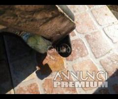 SERBATOIO BENZINA CARBURANTE tank original KYMCO P - 10