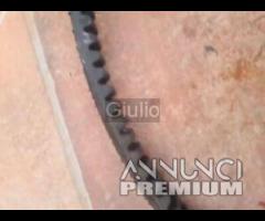 Cinghia Trasmissione Piaggio Beverly 500 2002-2006 - 6