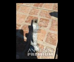 SUPPORTO STAFFA PINZA FRENO POSTERIORE YAMAHA XT 6
