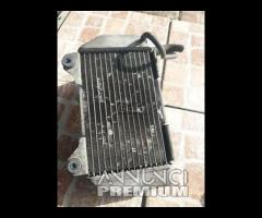 Radiatore acqua Honda Forza 250 X 2005 2007 testat