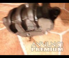 PINZA ANTERIORE FRENO original for HONDA FORZA 250 - 6