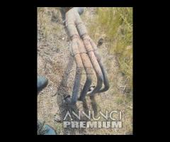 Collettori Scarico Marmitta HONDA CBR sc28 complet - 9