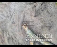 Silenziatori Scarichi Terminali MARVING Yamaha 850 - 14