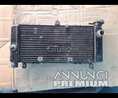 RADIATORE ACQUA HONDA CB600F HORNET 2005 2006 otti
