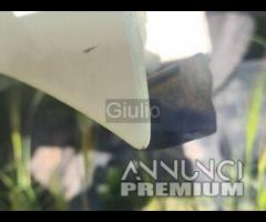 COFANO MOTORE ANTERIORE SEAT AROSA 2° SERIE 2001 2 - 6