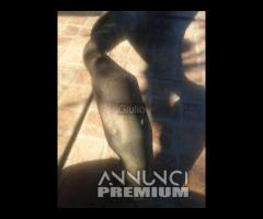 MARMITTA SCARICO TERMINALE HONDA HORNET 600 2003-2 - 8