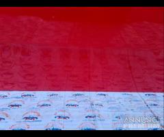 Porta anteriore destra colore rosso fiat punto evo - 13