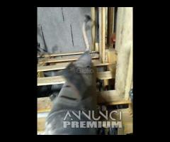 67637- Marmitta Terminale Di Scarico Sym Symphony - 6