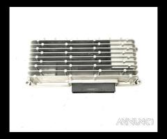 AMPLIFICATORE AUTORADIO SMART Fortwo Coupé (W451)