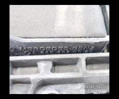 CANNA DELLO STERZO (PIANTONE) MERCEDES Classe A Se