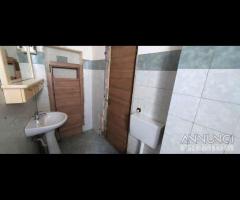 Bivani Pressi V.le M.Rapisardi (10383ra20408) - 10