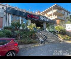 ATTIVITA' di Benessere- Pressi "Galleria Bellini