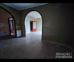 Ampio 4 Vani con Terrazzo Policlinico(9397ra46118) - 23