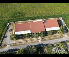 Villetta vista mare (T) - 19