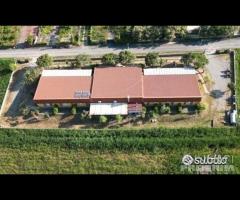 Villetta vista mare (T) - 20