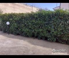 Villa Russo Duplex - 9