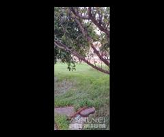 Immobile indipendente con corte - Villapiana Scalo - 7