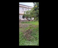 Immobile indipendente con corte - Villapiana Scalo - 10