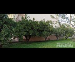 Immobile indipendente con corte - Villapiana Scalo - 11