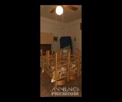 Immobile indipendente con corte - Villapiana Scalo - 19