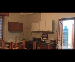 Immobile indipendente con corte - Villapiana Scalo - 22