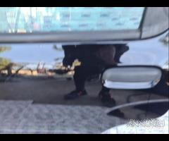 Porta posteriore sinistra nera Nuova panda 2014 - 10