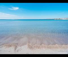 Maestrale Sea View Living Quarters PORTO CESAREO - 16