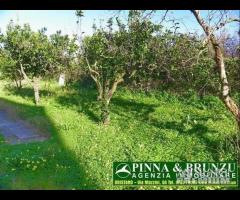 ORISTANO - DONIGALA - CASA INDIP + 600 mq Giardino - 8